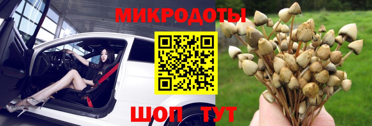 Алексеевка  Псилоцибиновые грибы MAGIC MUSHROOMS  Вход с VPN 