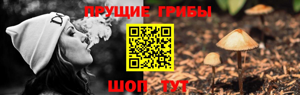 Псилоцибиновые грибы GOLDEN TEACHER Алексеевка